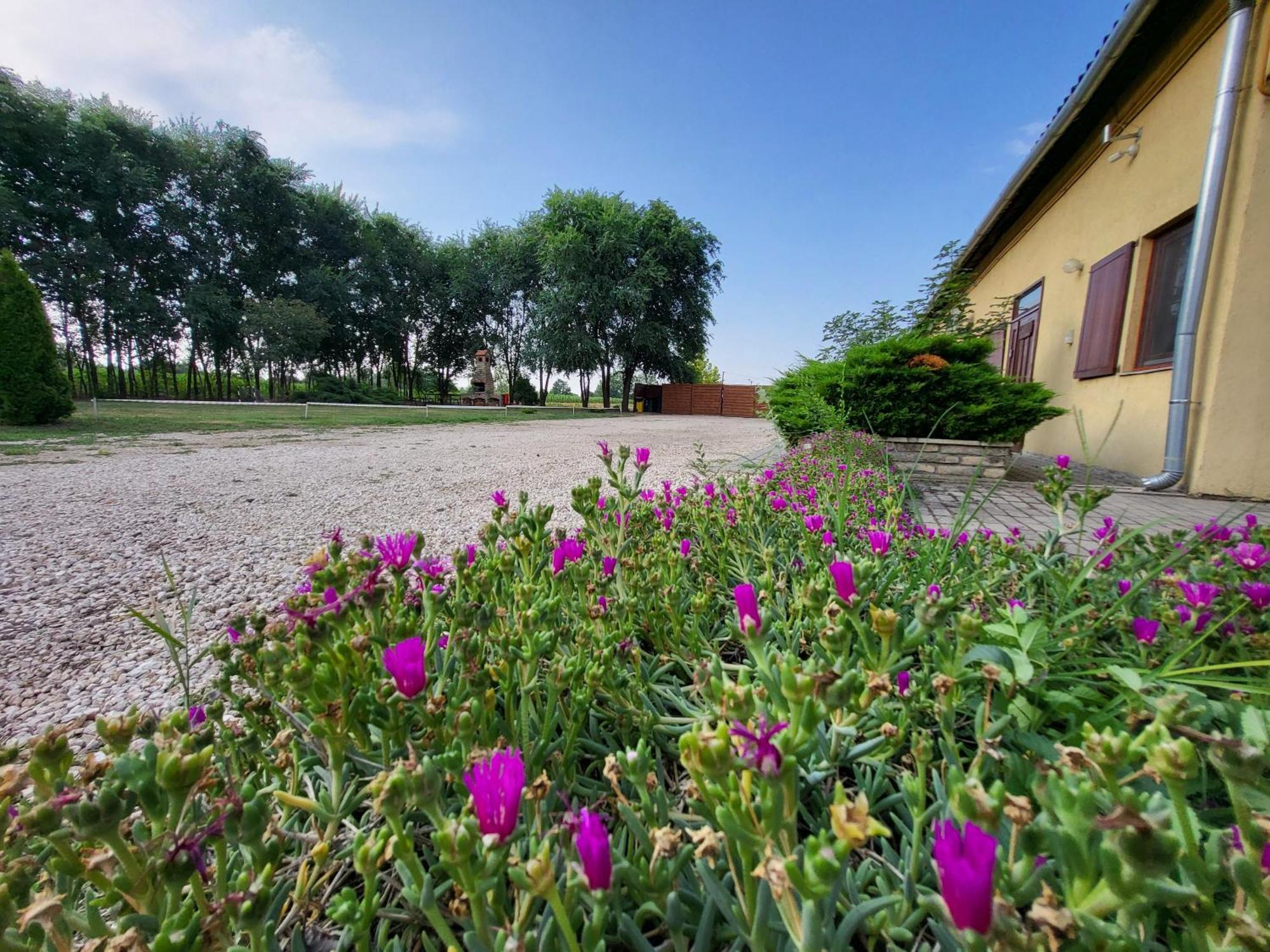 Nyárfás Vendégház Hotel Szeged Kültér fotó